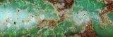 Polished Green Chrysoprase Slab - Western Australia #95225-1